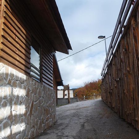 Villa Zagorka And Mountain Houses A, M, D Kopaonik Luaran gambar