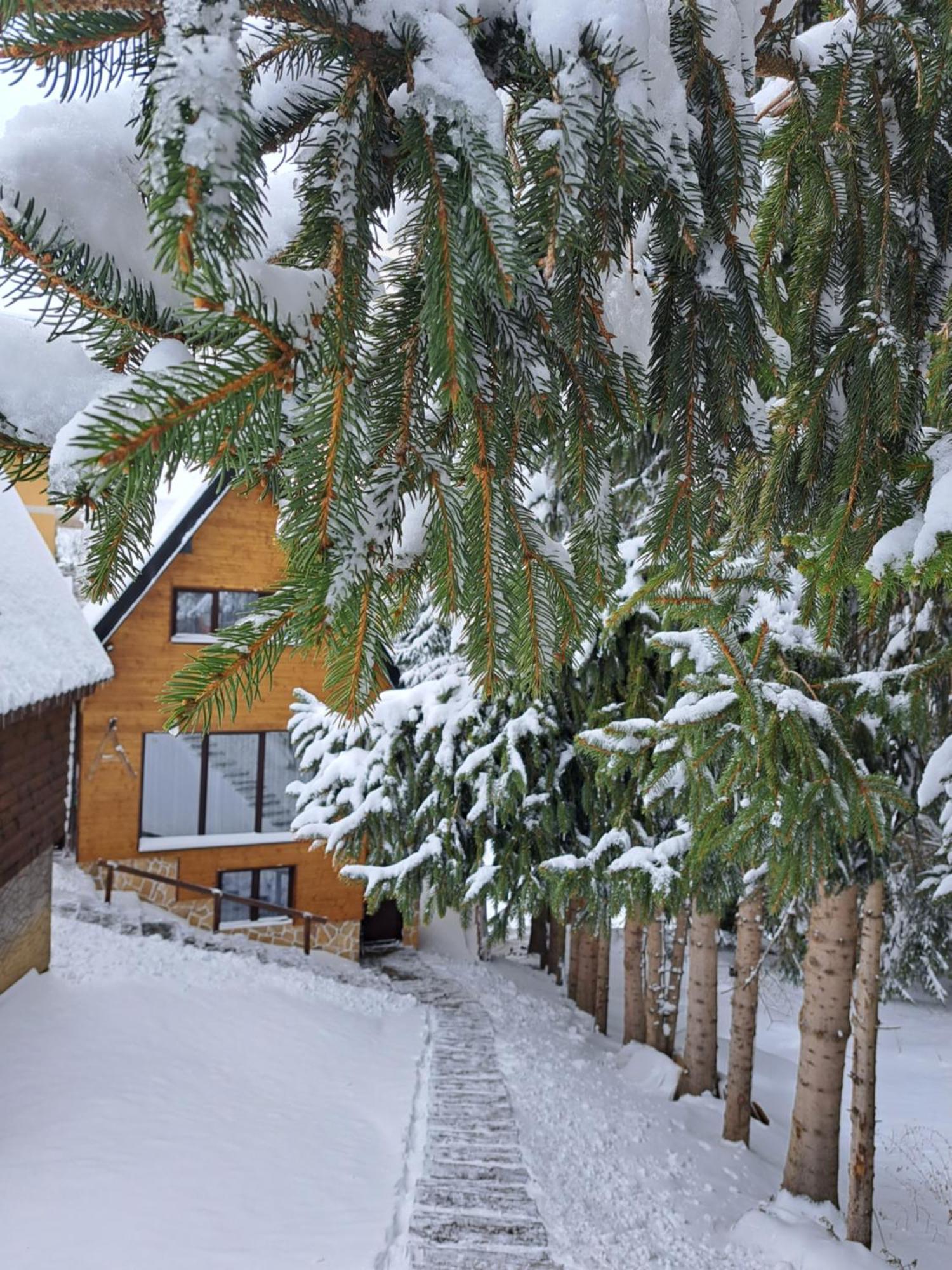 Villa Zagorka And Mountain Houses A, M, D Kopaonik Luaran gambar