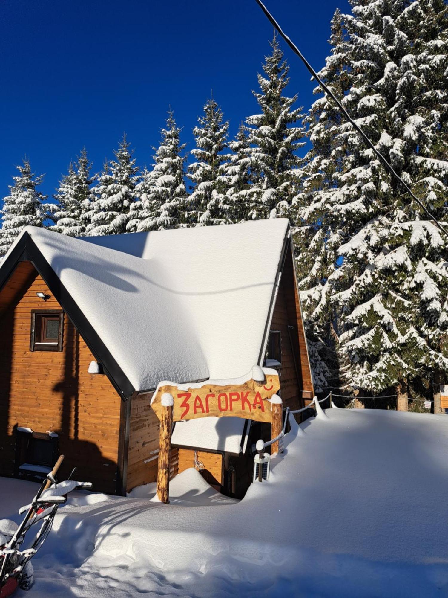 Villa Zagorka And Mountain Houses A, M, D Kopaonik Luaran gambar